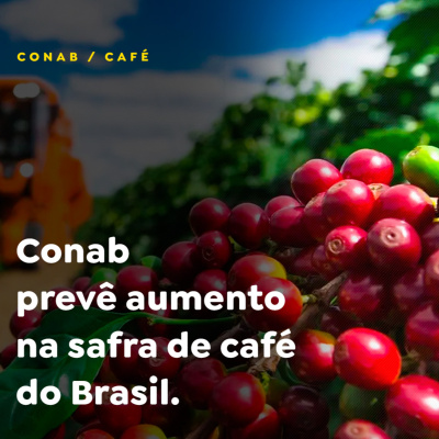 Paracatu Rural - Jornal do agronegócio