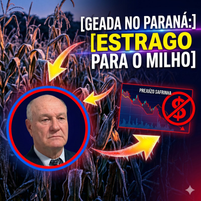 Paracatu Rural - Jornal do agronegócio