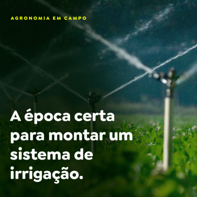Paracatu Rural - Jornal do agronegócio