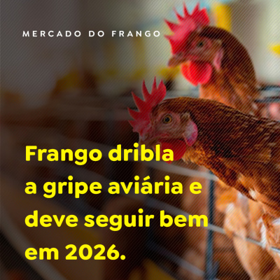 Paracatu Rural - Jornal do agronegócio