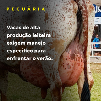 Paracatu Rural - Jornal do agronegócio