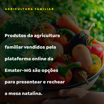 Paracatu Rural - Jornal do agronegócio