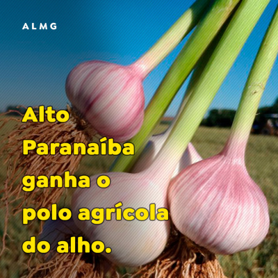 Paracatu Rural - Jornal do agronegócio