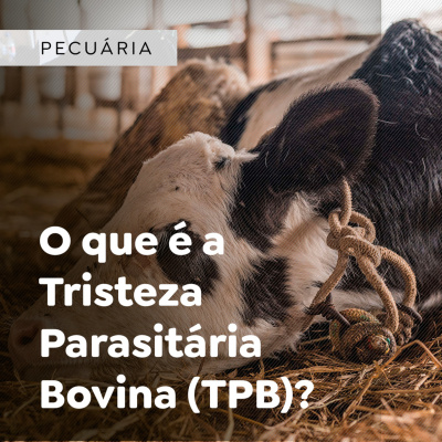 Paracatu Rural - Jornal do agronegócio