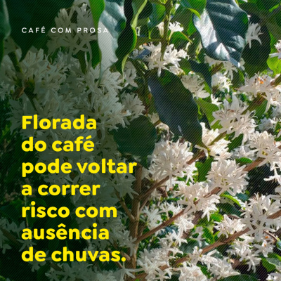 Paracatu Rural - Jornal do agronegócio