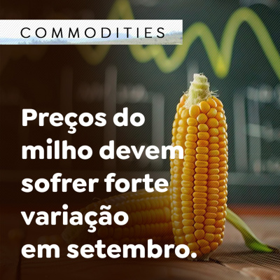 Paracatu Rural - Jornal do agronegócio