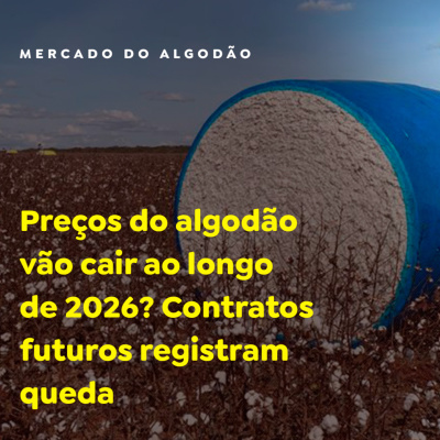 Paracatu Rural - Jornal do agronegócio