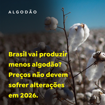 Paracatu Rural - Jornal do agronegócio