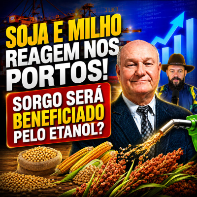 Paracatu Rural - Jornal do agronegócio