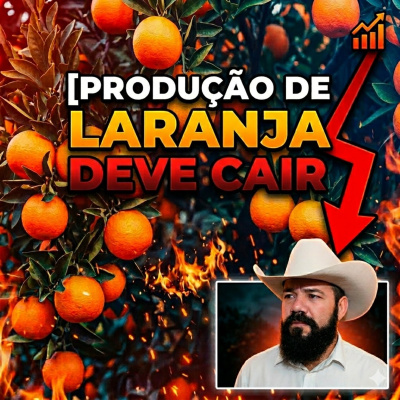 Paracatu Rural - Jornal do agronegócio