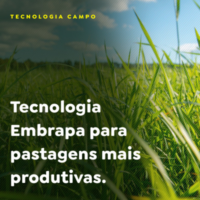 Paracatu Rural - Jornal do agronegócio