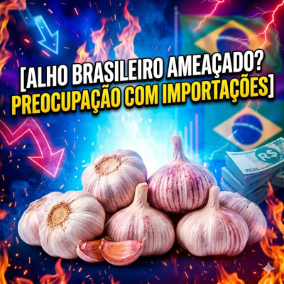 Paracatu Rural - Jornal do agronegócio
