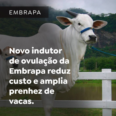 Paracatu Rural - Jornal do agronegócio