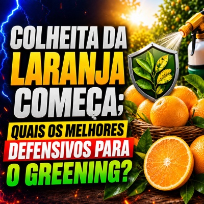 Paracatu Rural - Jornal do agronegócio