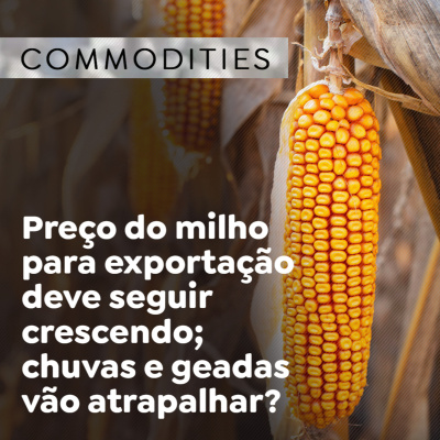 Paracatu Rural - Jornal do agronegócio