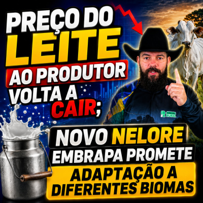 Paracatu Rural - Jornal do agronegócio