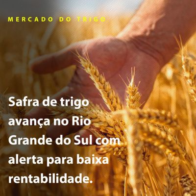 Paracatu Rural - Jornal do agronegócio