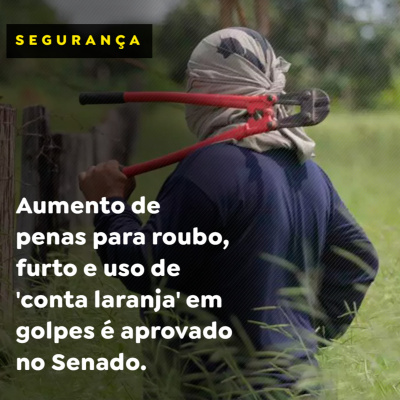 Paracatu Rural - Jornal do agronegócio