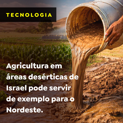 Paracatu Rural - Jornal do agronegócio