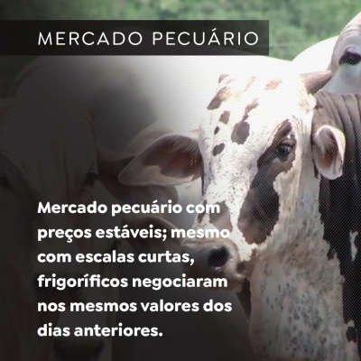 Paracatu Rural - Jornal do agronegócio