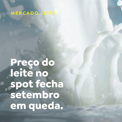 Paracatu Rural - Jornal do agronegócio