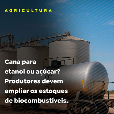 Paracatu Rural - Jornal do agronegócio