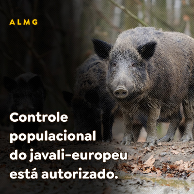 Paracatu Rural - Jornal do agronegócio