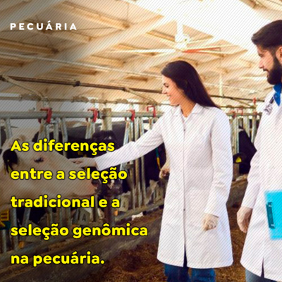 Paracatu Rural - Jornal do agronegócio