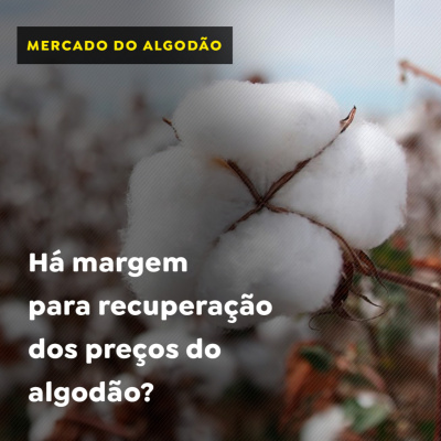 Paracatu Rural - Jornal do agronegócio