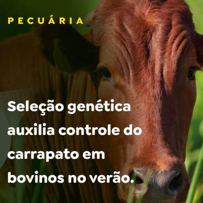 Paracatu Rural - Jornal do agronegócio