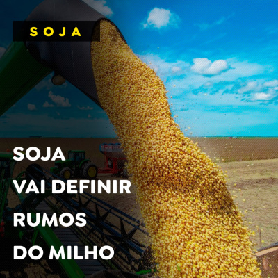 Paracatu Rural - Jornal do agronegócio