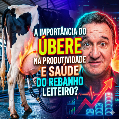 Paracatu Rural - Jornal do agronegócio