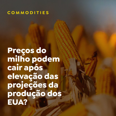 Paracatu Rural - Jornal do agronegócio