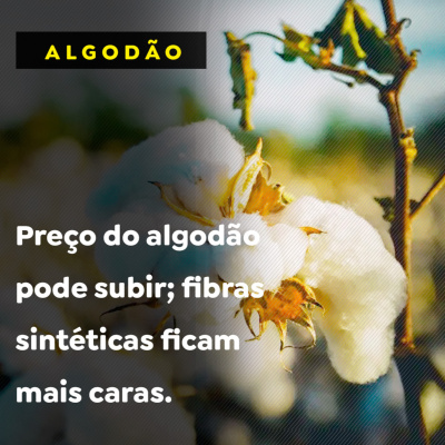 Paracatu Rural - Jornal do agronegócio