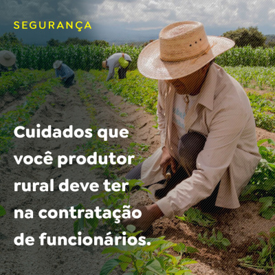 Paracatu Rural - Jornal do agronegócio
