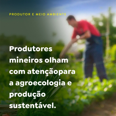 Paracatu Rural - Jornal do agronegócio