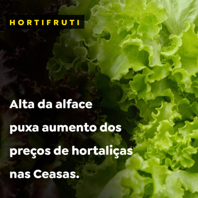 Paracatu Rural - Jornal do agronegócio