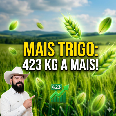 Paracatu Rural - Jornal do agronegócio
