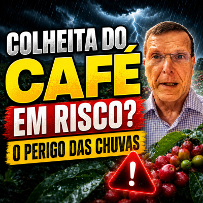 Paracatu Rural - Jornal do agronegócio