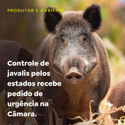 Paracatu Rural - Jornal do agronegócio