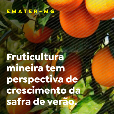 Paracatu Rural - Jornal do agronegócio