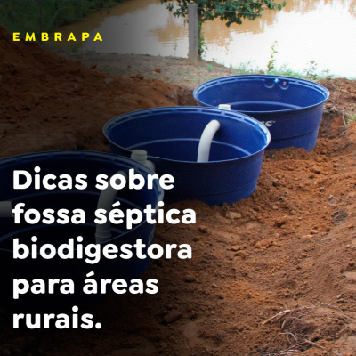 Paracatu Rural - Jornal do agronegócio
