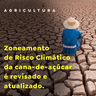 Paracatu Rural - Jornal do agronegócio