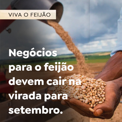 Paracatu Rural - Jornal do agronegócio