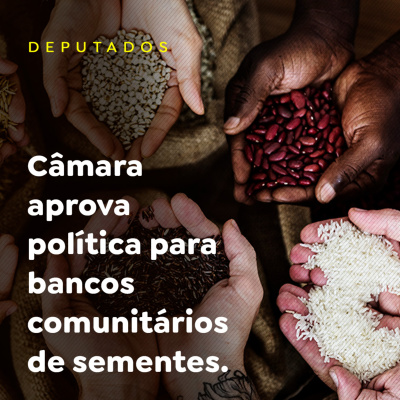 Paracatu Rural - Jornal do agronegócio