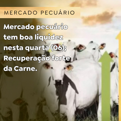 Paracatu Rural - Jornal do agronegócio