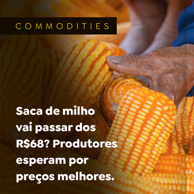 Paracatu Rural - Jornal do agronegócio