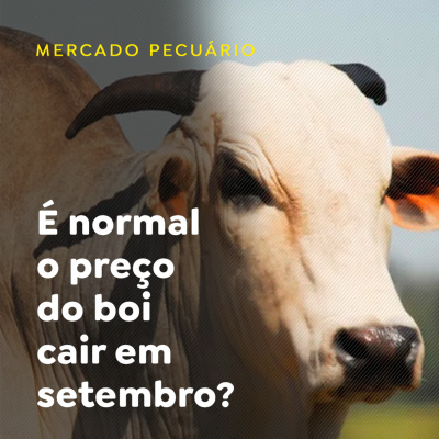 Paracatu Rural - Jornal do agronegócio