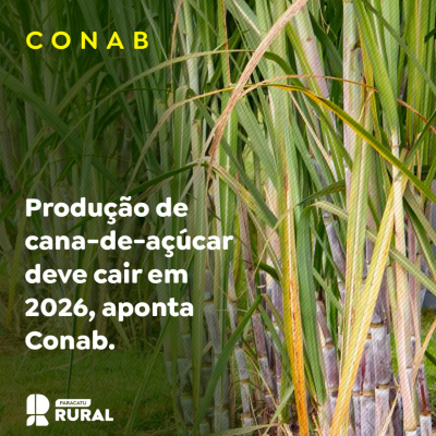Paracatu Rural - Jornal do agronegócio