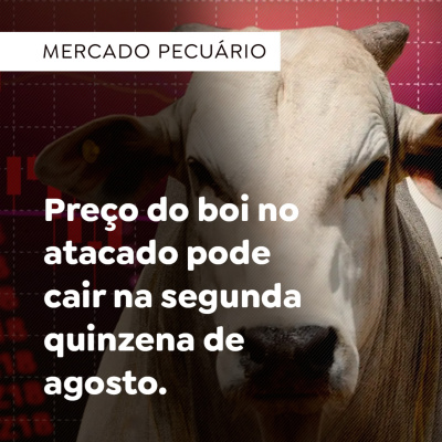 Paracatu Rural - Jornal do agronegócio